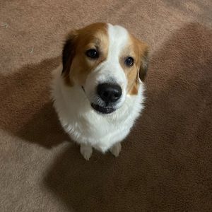 Extra shipping label